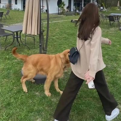 母亲!